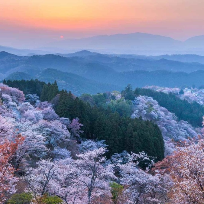 Yoshinoyama (Nara)